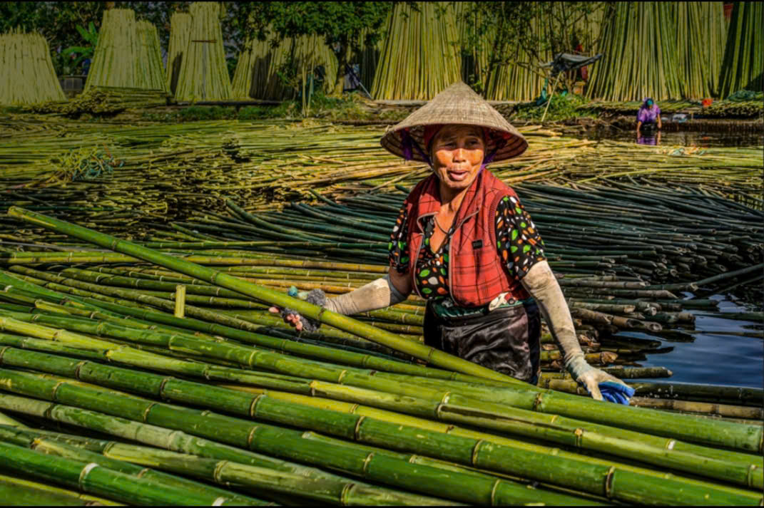 TINH HOA NGHỆ THUẬT MÂY TRE ĐAN: HÀNH TRÌNH GIỮ GÌN GIÁ TRỊ VĂN HOÁ VIỆT