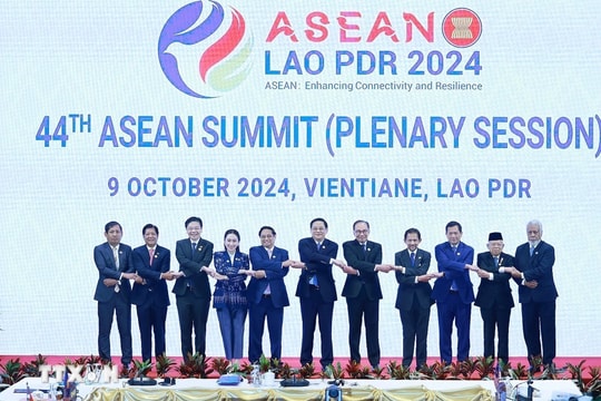 SEAFIT – CẦU NỐI TRI THỨC VÀ ĐẦU TƯ VIỆT NAM – ASEAN – THẾ GIỚI